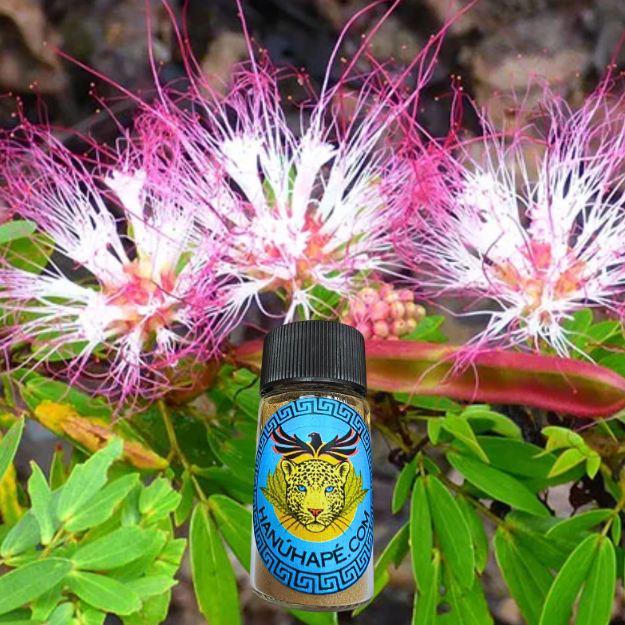Bobinsana Hapé Shamanic Snuff Ancestral Medicine Rapé