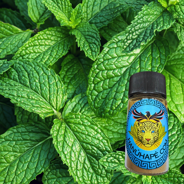Mint Hapé Huni Kuin Shamanic Snuff Ancestral Medicine Rapé