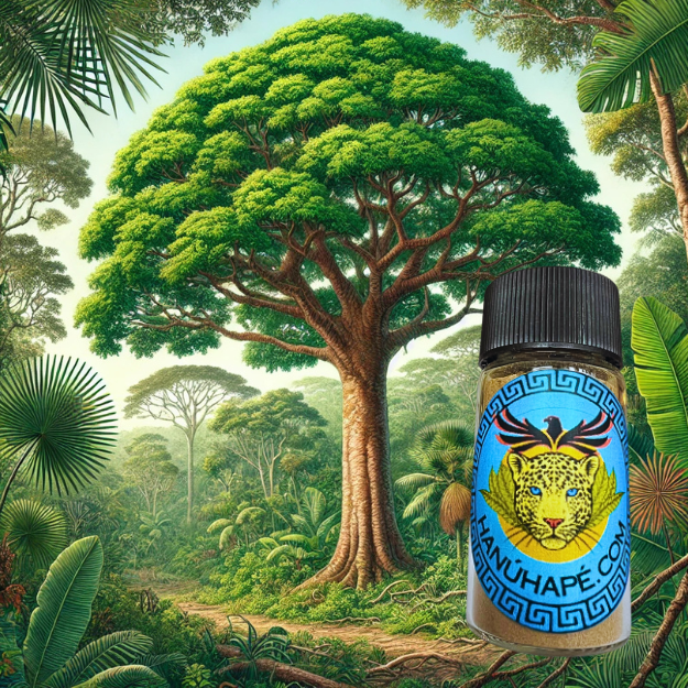 Mulateiro Hapé Huni Kuin Shamanic Snuff Ancestral Medicine Rapé