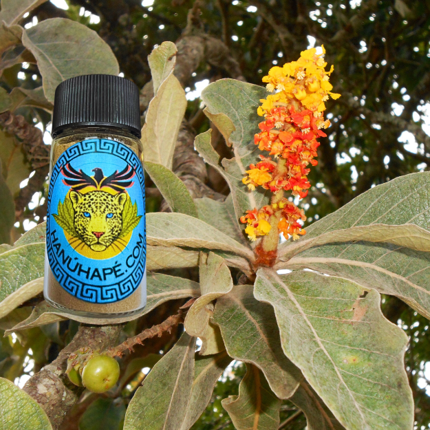 Murici Hapé Huni Kuin Shamanic Snuff Ancestral Medicine Rapé