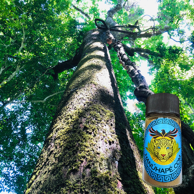 Kawânayru Hapé Shamanic Snuff Ancestral Medicine Rapé