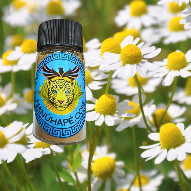 Chamomile Hapé Shamanic Snuff Ancestral Medicine Rapé