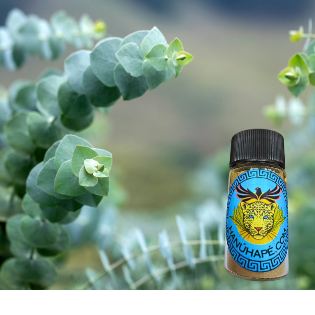 Eucalyptus Hapé Shamanic Snuff Ancestral Medicine Rapé