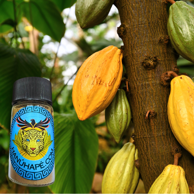 Cacau Hapé Huni Kuin Shamanic Snuff Ancestral Medicine Rapé