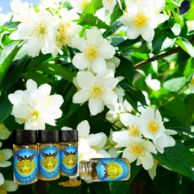 Jasmine Hapé Shamanic Snuff Ancestral Medicine Rapé