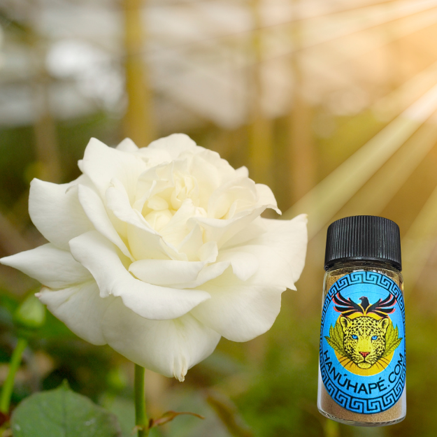 White Rose - Specialty Blends - 10 g - Hapé - Rapé - Rapeh