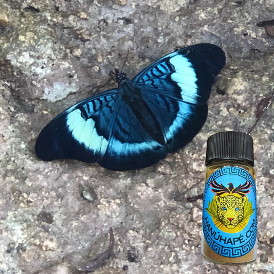 Propolis Hapé Shamanic Snuff Ancestral Medicine Rapé