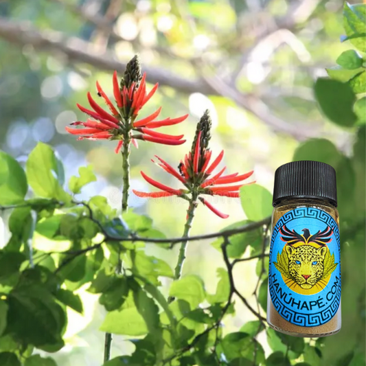 Mulungu Hapé Yawanawa Shamanic Snuff Ancestral Medicine Rapé