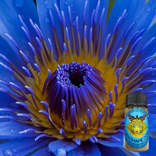 Blue Lotus Hapé Yawanawa Shamanic Snuff Ancestral Medicine Rapé