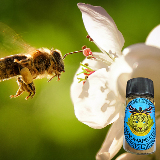 Propolis Hapé Kawä Nayru Shamanic Snuff Ancestral Medicine Rapé